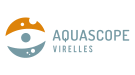 With You Fund afbeelding 1