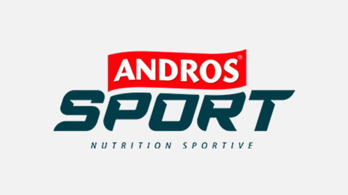 Logo Andros